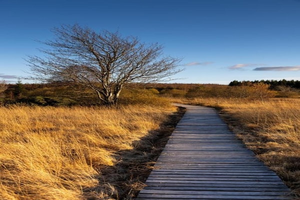Foto van Wandelroes: Natuur & Charme - Vakantiehuis in Roes - AreaSummer20KM
