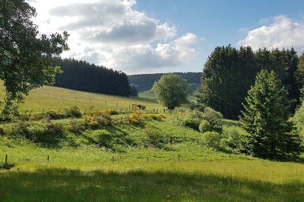 Foto van Redhead-residentie - Vakantiehuis in Winterberg - Untagged