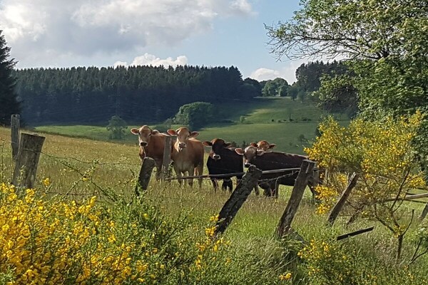Foto van Redhead-residentie - Vakantiehuis in Winterberg - Untagged