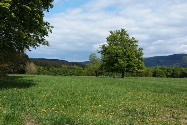 Foto van Redhead-residentie - Vakantiehuis in Winterberg - Untagged