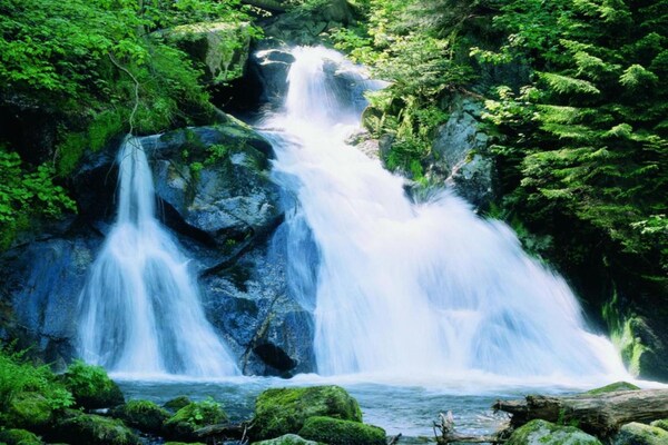 Foto van Milieuvriendelijk Tiny Home - Vakantiehuis in Sankt Georgen OT Langenschiltach - AreaSummer20KM