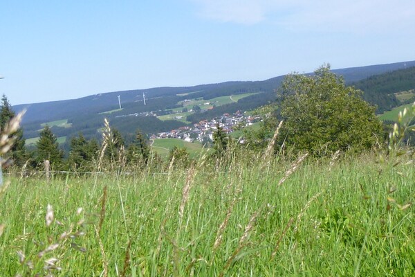 Foto van Skigebied Furtwangen Stay - Vakantiehuis in Furtwangen - Ambiance