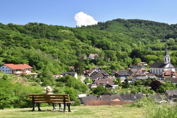 Foto van 1 in het Lavendelhuis - Vakantiehuis in Endingen-Amoltern - Untagged