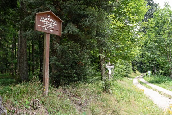 Foto van Ontsnapping in Malsburg-Marzell - Vakantiehuis in Malsburg-Marzell - AreaSummer1KM