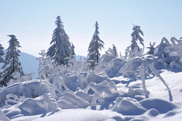 Foto van Ontsnapping in Malsburg-Marzell - Vakantiehuis in Malsburg-Marzell - AreaWinter5KM