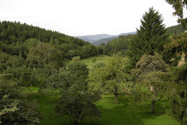Foto van 2 Alpenblick - Steineckhof - Vakantiehuis in Schopfheim - Untagged