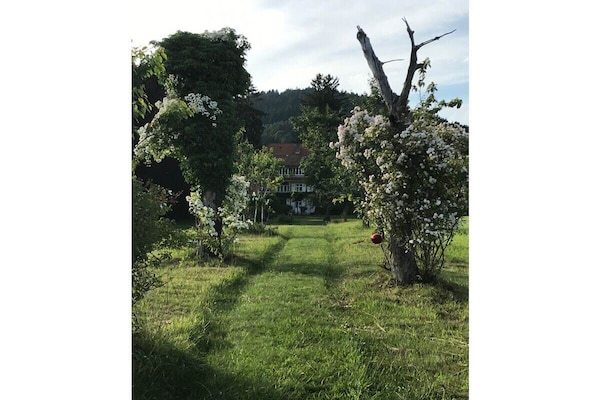 Foto van 1 Alpenblick - Steineckhof - Vakantiehuis in Schopfheim - Untagged