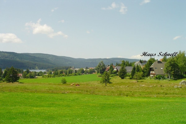 Foto van 1 in het huis Schnell - Vakantiehuis in Schluchsee - Untagged