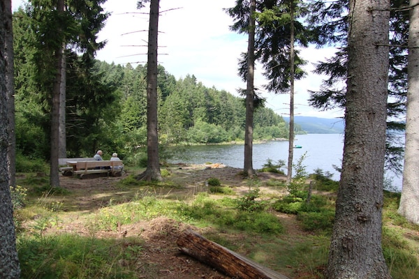 Foto van 1 in het huis Schnell - Vakantiehuis in Schluchsee - Untagged