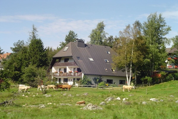 Foto van 1 in het huis Schnell - Vakantiehuis in Schluchsee - Untagged