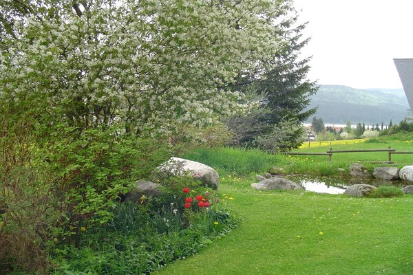 Foto van 1 in het huis Schnell - Vakantiehuis in Schluchsee - Untagged