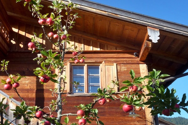 Foto van Vakantiehuis in  - Vakantiehuis in  - Untagged