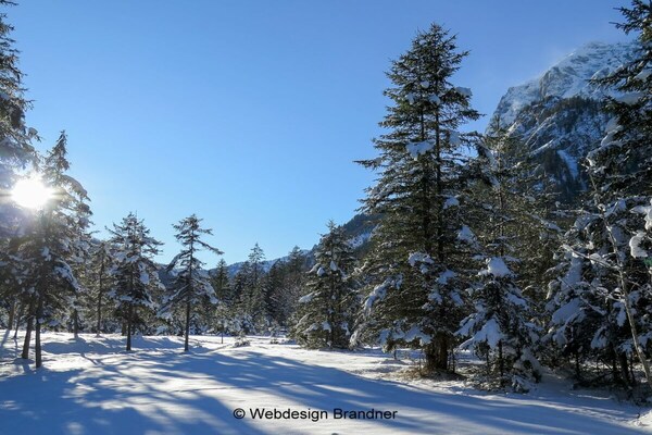 Foto van 1 in het gastenverblijf Alexandra - Vakantiehuis in Ramsau - Untagged