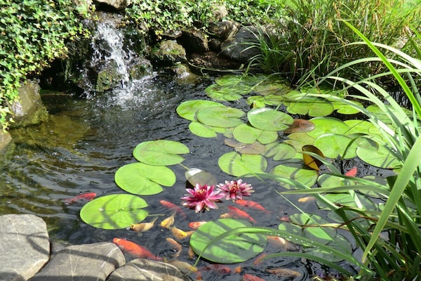 Foto van 2 Gastenverblijf Schmid - Vakantiehuis in Fischen - Untagged