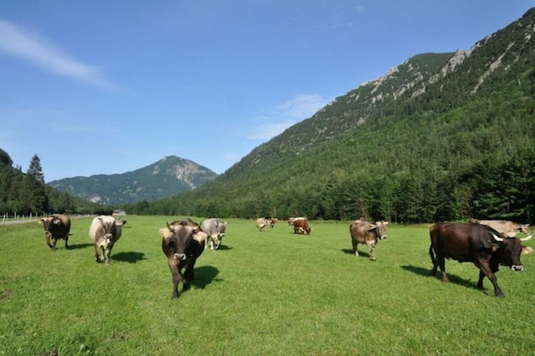 Foto van 1 - Huis Meinecke - Vakantiehuis in Bad Hindelang - Untagged
