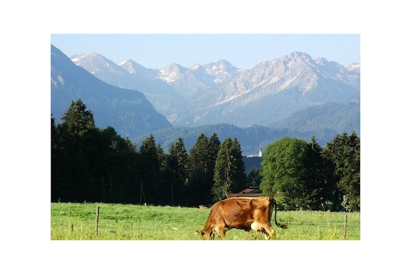 Foto van 1 in het landhuis Magdalena - Vakantiehuis in Oberstdorf - Untagged