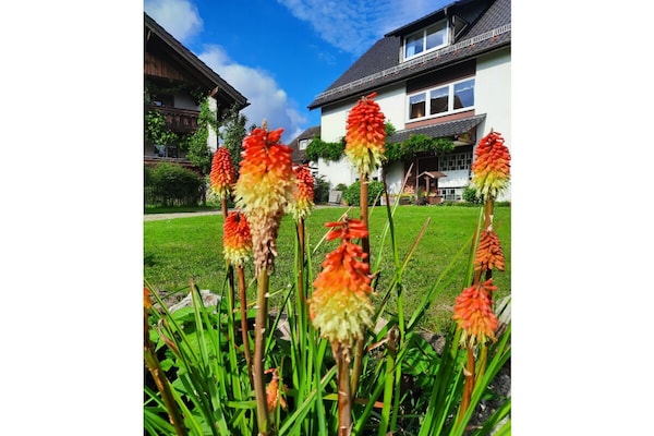 Foto van 1 op de fruit- en vakantieboerderij van Marschall - Vakantiehuis in Wasserburg Bodensee - Untagged