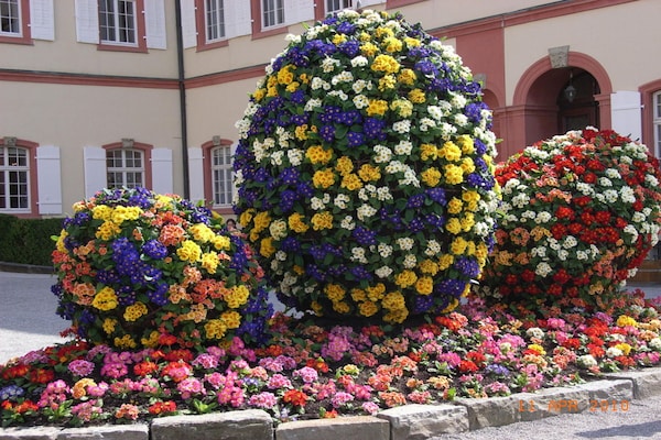 Foto van 1 op de fruit- en vakantieboerderij van Marschall - Vakantiehuis in Wasserburg Bodensee - Untagged