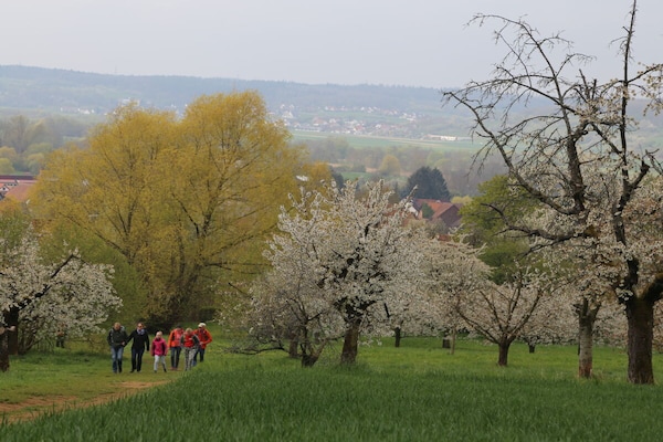 Foto van 2 huizen aan de rand van het bos - Vakantiehuis in Leutenbach - Untagged