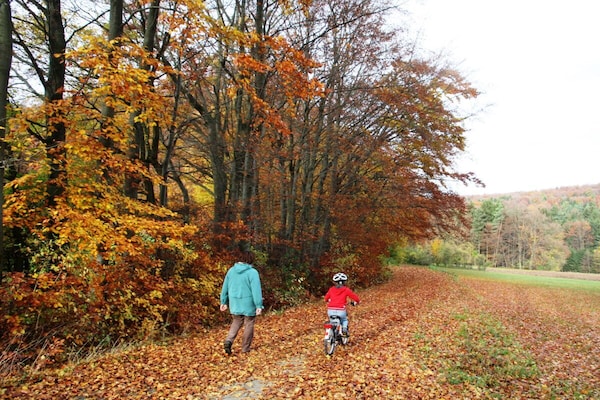 Foto van 2 huizen aan de rand van het bos - Vakantiehuis in Leutenbach - Untagged