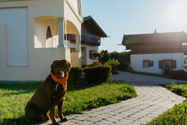 Foto van Vakantiehuis op Vital Camp Bayerbach - Vakantiehuis in Bayerbach - ExteriorSummer