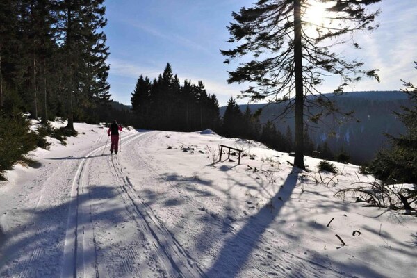 Foto van Ferienwohnung Christina in Friedrichroda - Vakantiehuis in Friedrichroda - AreaWinter20KM