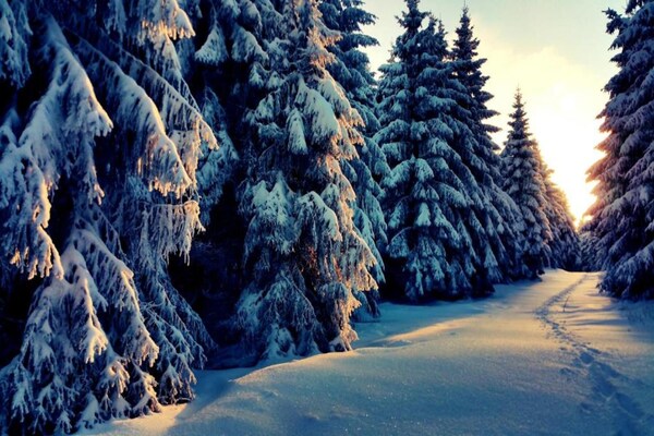 Foto van Ferienwohnung Christina in Friedrichroda - Vakantiehuis in Friedrichroda - AreaWinter20KM