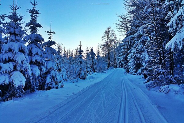Foto van Ferienwohnung Christina in Friedrichroda - Vakantiehuis in Friedrichroda - AreaWinter20KM