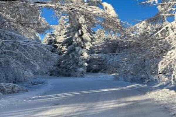 Foto van Ferienwohnung Christina in Friedrichroda - Vakantiehuis in Friedrichroda - AreaWinter20KM