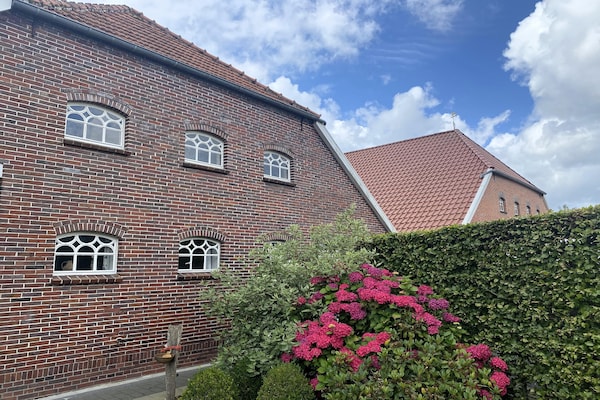 Foto van Rijtjeshuis in Strackholt met verwarmd zwembad - Vakantiehuis in Strackholt - ExteriorSummer