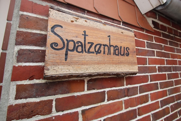 Foto van Rijtjeshuis in Strackholt met verwarmd zwembad - Vakantiehuis in Strackholt - ExteriorSummer