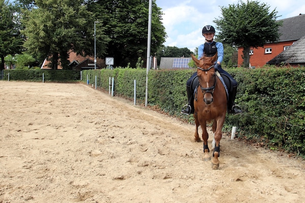 Foto van Rijtjeshuis in Strackholt met verwarmd zwembad - Vakantiehuis in Strackholt - AreaSummer1KM