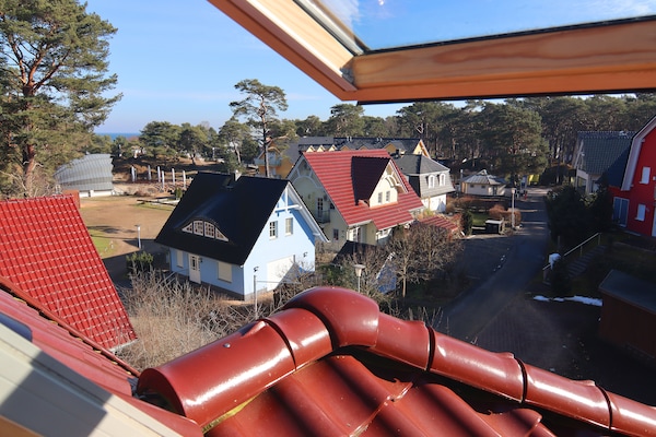 Foto van Rijtjeshuis Dünenwaldhaus in Trassenheide - Vakantiehuis in Trassenheide - ExteriorWinter