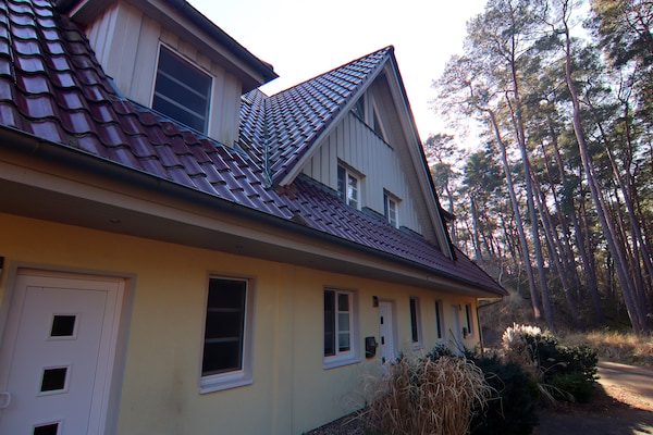 Foto van Rijtjeshuis Dünenwaldhaus in Trassenheide - Vakantiehuis in Trassenheide - ExteriorWinter