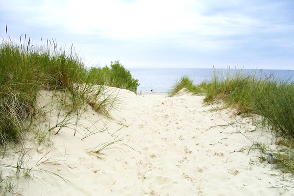 Foto van Rijtjeshuis Dünenwaldhaus Mitte in Trassenheide - Vakantiehuis in Trassenheide - AreaSummer5KM