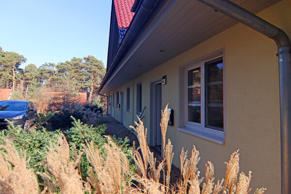 Foto van Rijtjeshuis Dünenwaldhaus in Trassenheide - Vakantiehuis in Trassenheide - ExteriorWinter