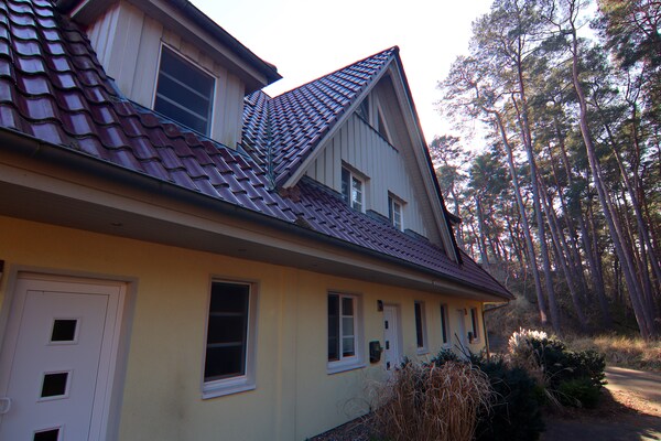 Foto van Rijtjeshuis Dünenwaldhaus in Trassenheide - Vakantiehuis in Trassenheide - ExteriorWinter