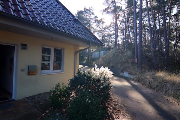 Foto van Rijtjeshuis Dünenwaldhaus in Trassenheide - Vakantiehuis in Trassenheide - ExteriorWinter