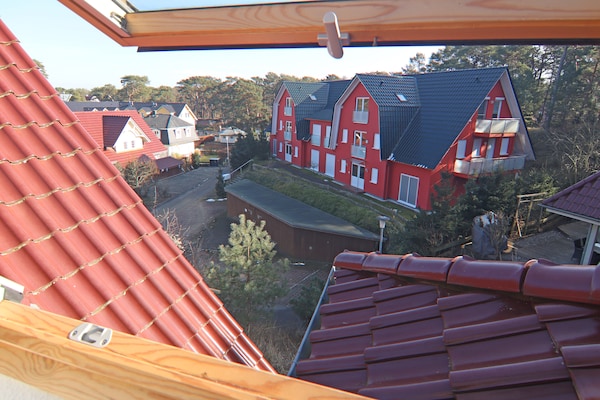 Foto van Rijtjeshuis Dünenwaldhaus in Trassenheide - Vakantiehuis in Trassenheide - ViewWinter