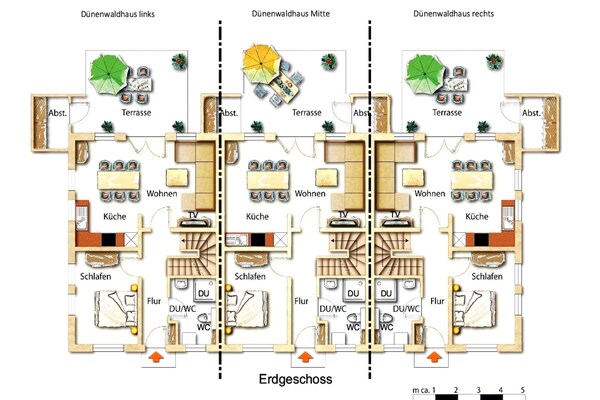 Foto van Rijtjeshuis Dünenwaldhaus in Trassenheide - Vakantiehuis in Trassenheide - FloorPlan