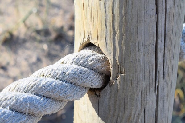 Foto van Villa in Binissalem met zwembad en wijngaarden - Vakantiehuis in Muro, Islas Baleares - Untagged