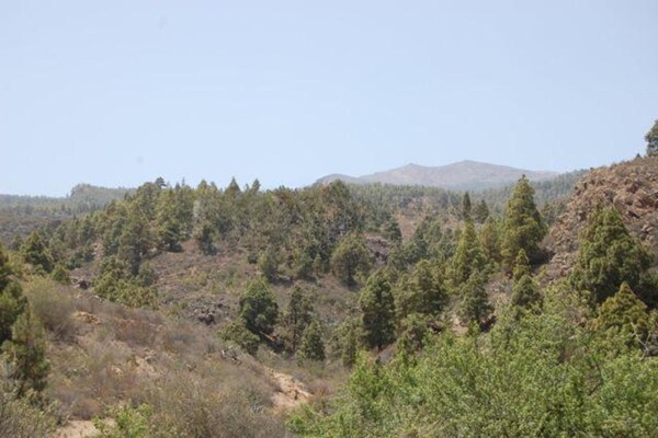 Foto van Sofia Huis met zwembad in Granadilla de Abona - Vakantiehuis in Granadilla de Abona - AreaSummer1KM