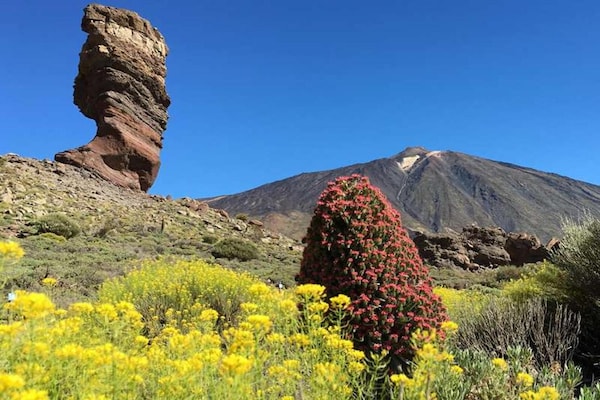 Foto van Sofia Huis met zwembad in Granadilla de Abona - Vakantiehuis in Granadilla de Abona - Ambiance