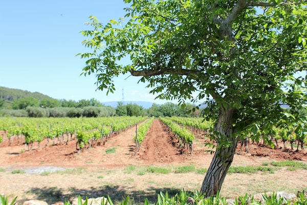 Foto van Privézwembad in de Provence - Vakantiehuis in La Motte - ViewSummer