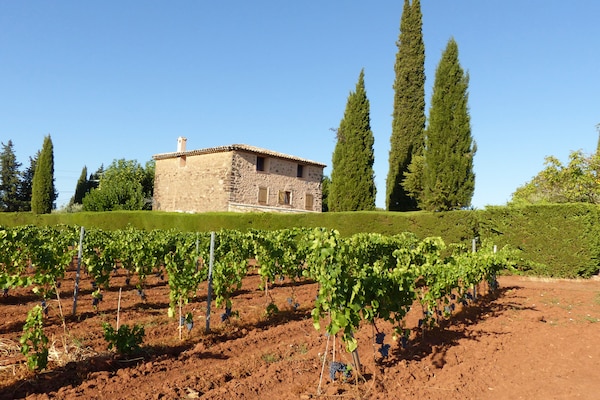 Foto van Privézwembad in de Provence - Vakantiehuis in La Motte - AreaSummer1KM