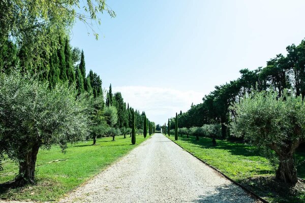 Foto van Charmante Provençaalse villa in Noves - Vakantiehuis in Noves - GardenSummer
