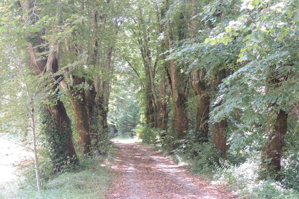 Foto van Historische torenwoning in Brignac - Vakantiehuis in Brignac-la-Plaine - AreaSummer20KM