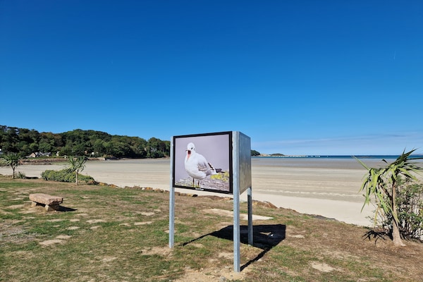 Foto van Verblijf in Brittany House van St Michel - Vakantiehuis in Ploumilliau - AreaSummer20KM