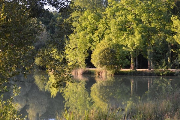 Foto van Loubejac Tuin Ontsnapping - Vakantiehuis in Loubéjac - AreaSummer20KM