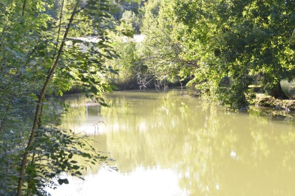 Foto van Loubejac Tuin Ontsnapping - Vakantiehuis in Loubéjac - AreaSummer20KM